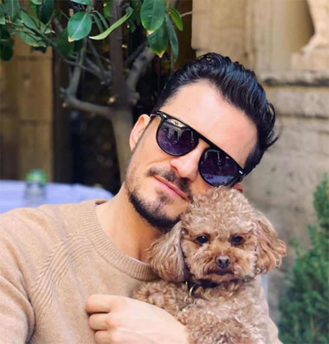 Cachorro de Orlando Bloom desaparece e ator oferece recompensa para quem achá-lo: <i>Coração partido</i>