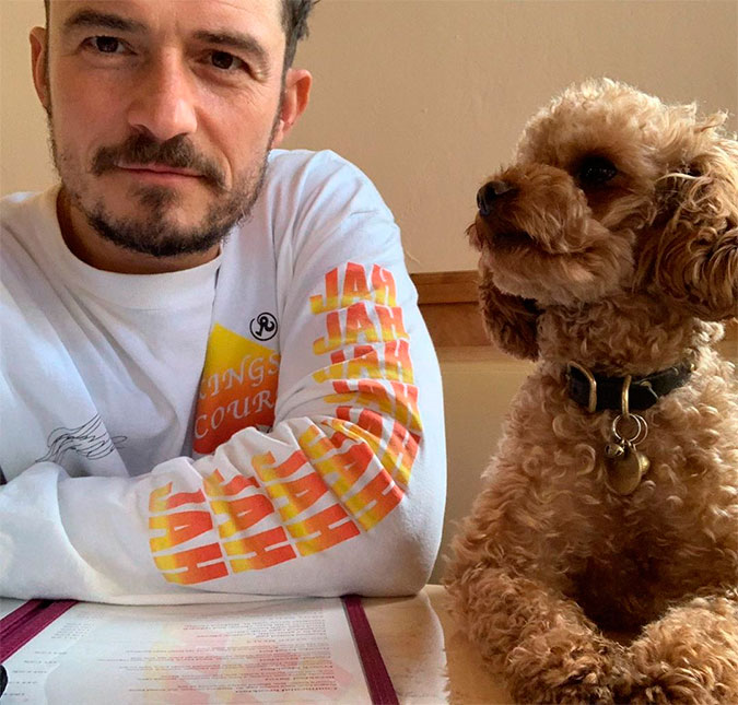 Orlando Bloom faz desabafo sobre seu cãozinho que continua desaparecido: <i>Um pesadelo acordado</i>