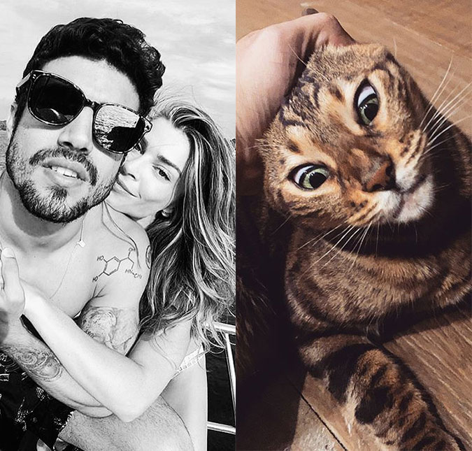 Caio Castro aperta rostinho do gato de Grazi Massafera e internautas reprovam: <I>Luisa Mell, corre aqui!</I>