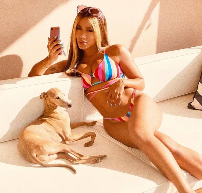 Anitta posta foto com cachorro e Gui Araújo dá em cima dela: <i>Sua dona tem telefone?</i>