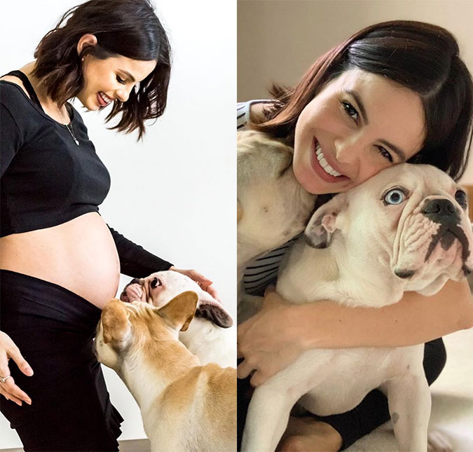 Sthefany Brito compartilha clique dos cachorros <I>curiosos</I> com sua gravidez e revela: <I>- Eles souberam da gestação muito antes de mim</I>