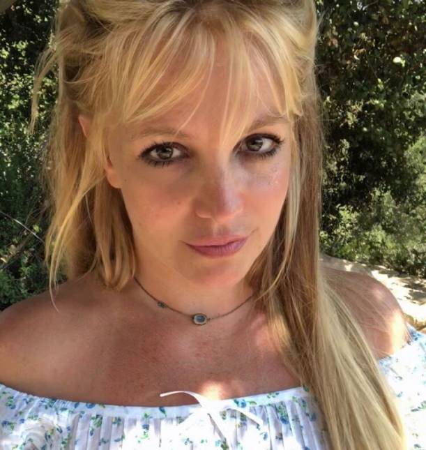 Britney Spears é comparada a paciente em coma pelo próprio advogado