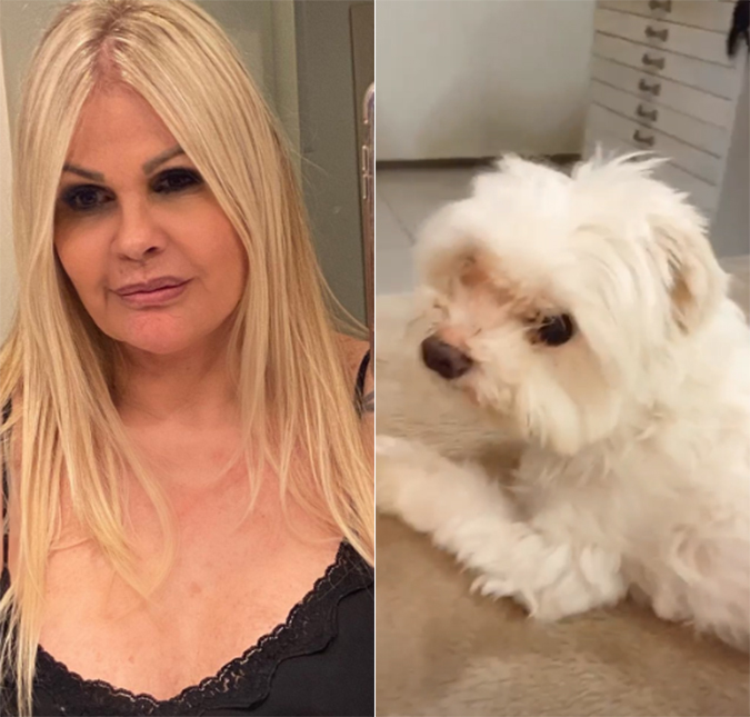 Monique Evans diz que cachorro está sem comer após separação: <i>Depressão</i>