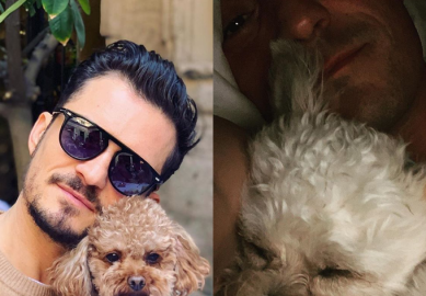 Após perda de <i>pet</i>, Orlando Bloom fala sobre adoção de novo cachorro: <i>Preenche meu coração</i>
