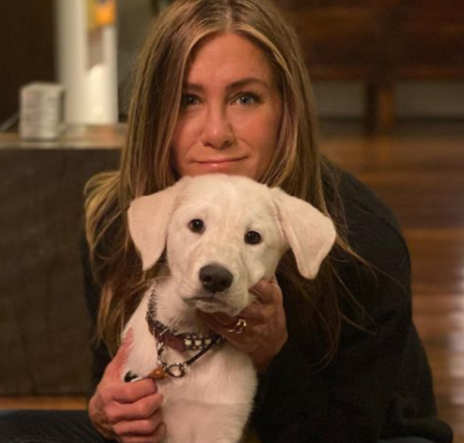 Jennifer Aniston compartilha enfeite natalino e gera polêmica entre os internautas, entenda!