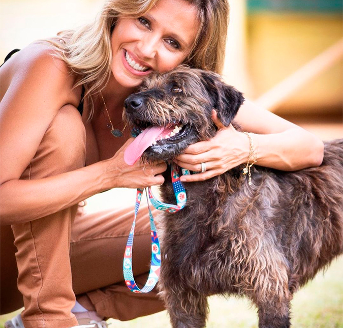 Luisa Mell se manifesta sobre comentário de Caio no <i>BBB21: Nojento ver como a violência contra vulneráveis é naturalizada</i>