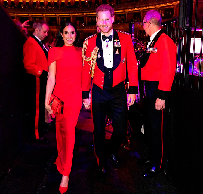 Príncipe Harry e Meghan Markle não voltarão a ser membros da Família Real, diz <i>site</i>