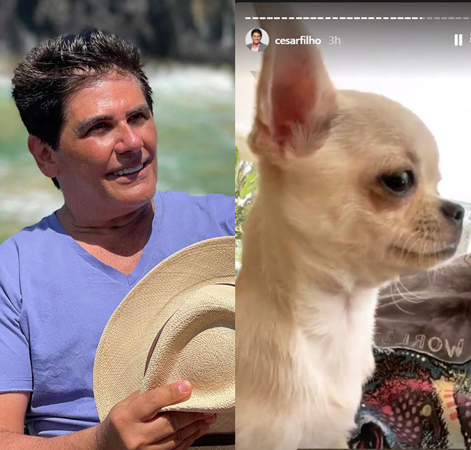Após se recuperar da Covid-19, César Filho revela que possui um novo mascote e pede ajuda aos seguidores: <i>- Que nome você daria?</i>