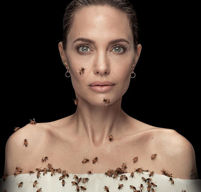 Angelina Jolie ficou três dias sem tomar banho para realizar foto com  abelhas; entenda - Estrelando