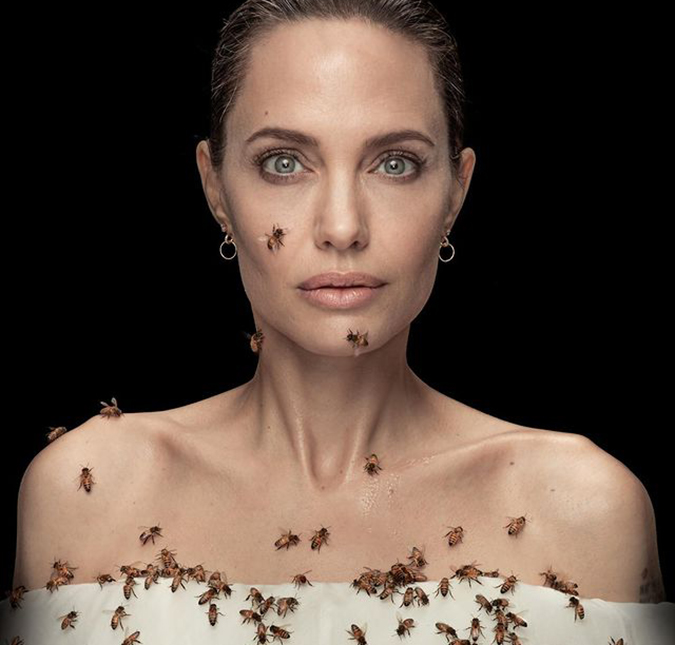 Angelina Jolie ficou três dias sem tomar banho para realizar foto com abelhas; entenda