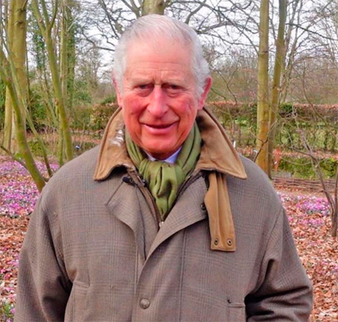 Príncipe Charles estaria <i>furioso</i> após novo desabafo de príncipe Harry: <i>Se sente torturado</i>