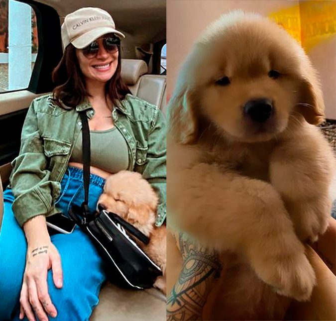 Grávida de sete meses, Bianca Andrade mostra novo cachorro: <i>A família cresceu!</i>