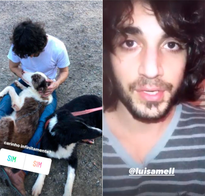 Fiuk se explica para Luisa Mell após deixar cachorros em abrigo: <i>Eles estão sendo muito bem cuidados</i>