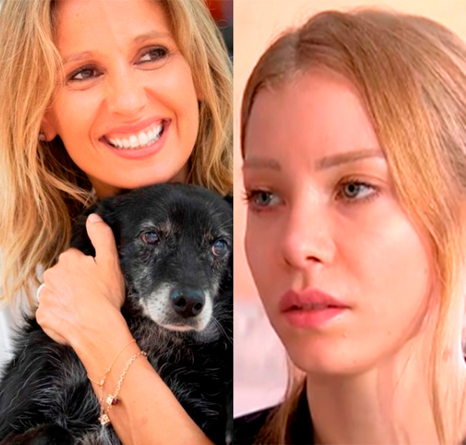 Marido de Luisa Mell teve encontro com Najila Trindade, diz colunista