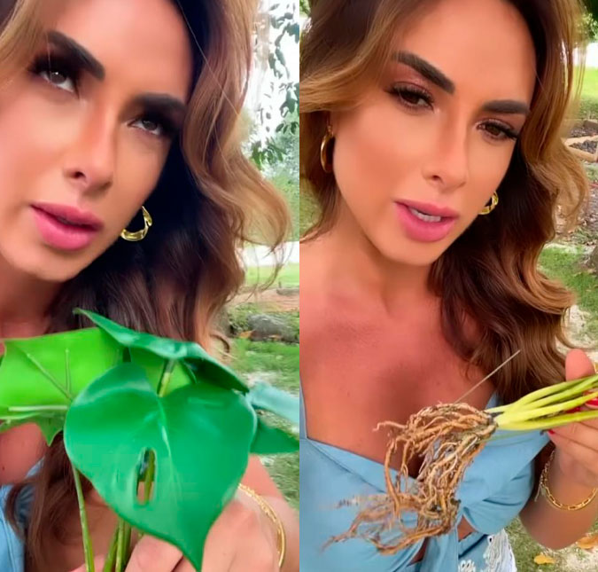 Nicole Bahls descobre que plantou muda artificial: <i>- Plantei e fiquei uma semana aguando</i>