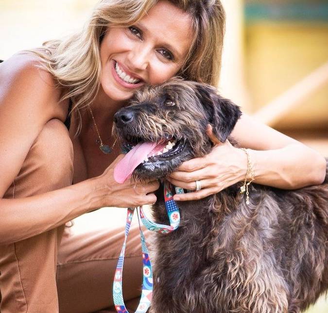 Luisa Mell é acusada de roubar cachorro de raça e rebate: <i>Dai-me paciência</i>