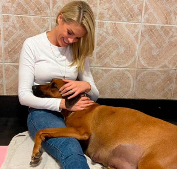 Ana Hickmann se emociona ao ajudar cadela em parto de 17 filhotes; confira!