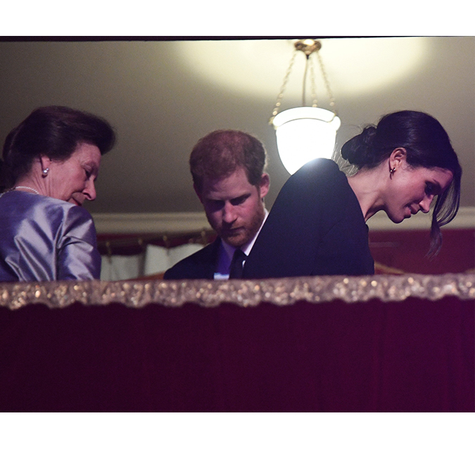 Princesa Anne teria dito para príncipe Harry não se casar com Meghan Markle: <I>- Ela é errada para nós</I>