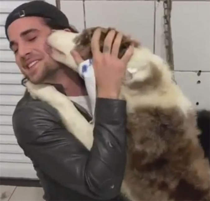 Acusado de abandono, Fiuk pega de volta cachorros deixados em abrigo