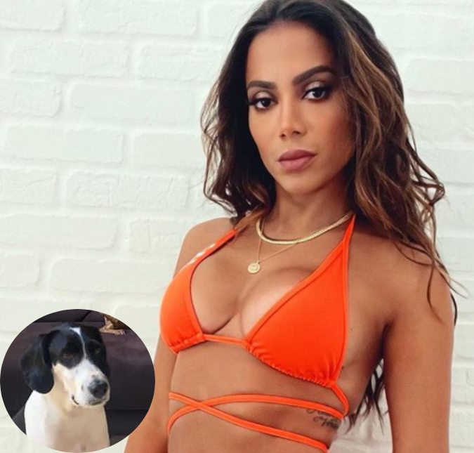 Anitta pede ajuda dos fãs para transportar cachorro para Miami, entenda!