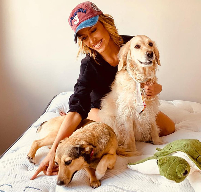 Luisa Mell posta reflexão após sofrer violência médica: <i>Perdoar não é deixar de punir</i>