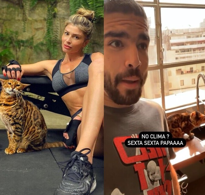 Voltaram? Grazi Massafera e Caio Castro posam com gato semelhante e levantam suspeitas de reconciliação