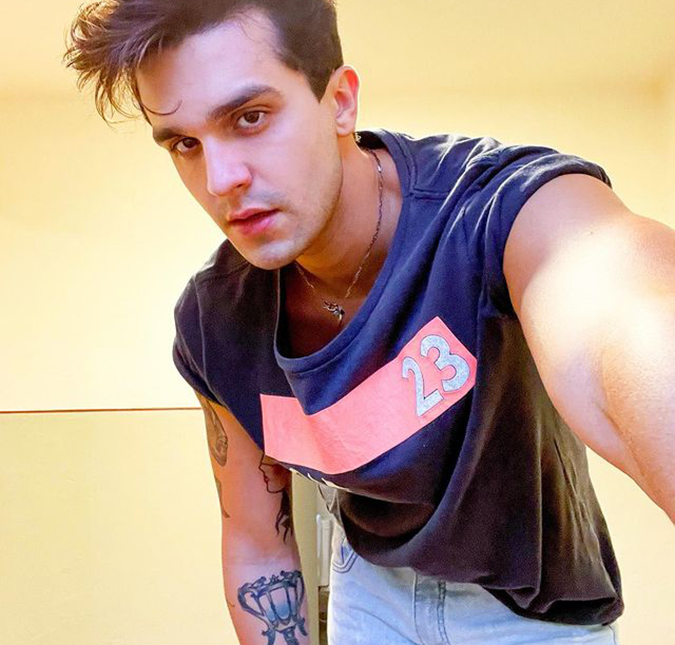 Luan Santana encontra cobra em mansão e aciona equipe de emergência