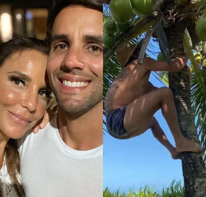 Marido de Ivete Sangalo posa em cima de coqueiro e mostra habilidade inusitada