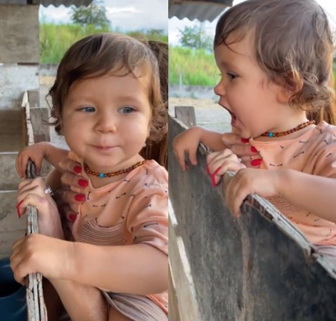 Giovanna Ewbank compartilha vídeo de Zyan brincando com as cabras e <i>web</i> se encanta: <i>Fofura</i>