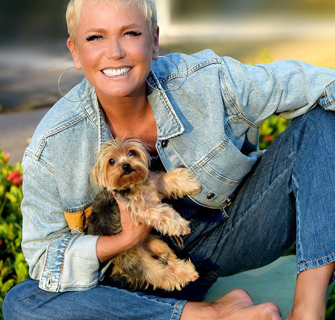 Xuxa Meneghel pode ganhar série sobre sua vida, diz colunista