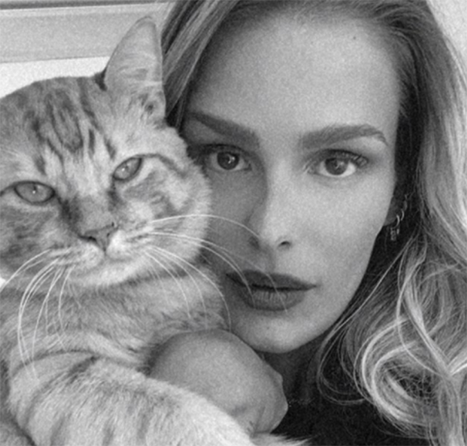 Yasmin Brunet revela que gato está desaparecido e pede ajuda: <i>Simba está perdido</i>