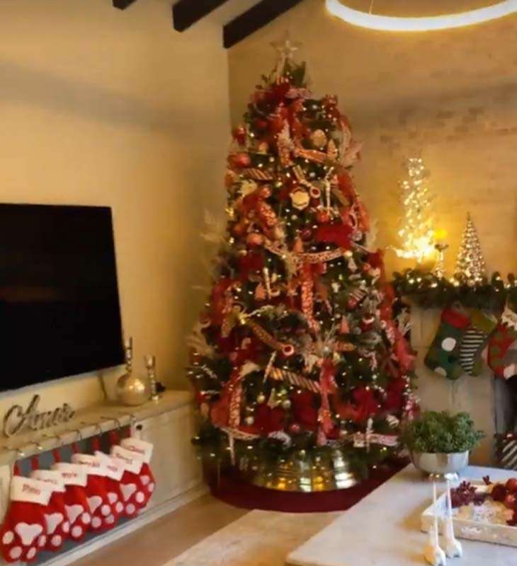 Anitta mostra decoração natalina de sua casa nos Estados Unidos; confira! -  Estrelando