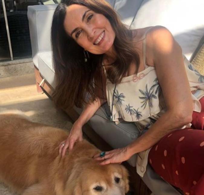Morre primeiro cachorro de Fátima Bernardes e William Bonner: <I>Nosso grandão se foi</i>