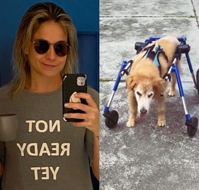 Fernanda Gentil mostra cachorra, Nala, andando de cadeiras de rodas: <i>Aprender com o obstáculo</i>