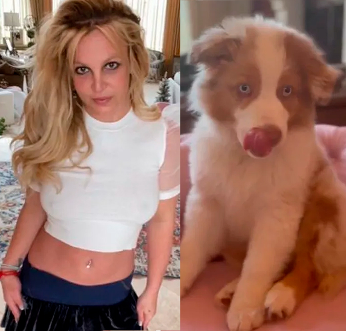 Britney Spears aumenta suspeitas sobre fim de noivado após publicação com cão: <I>Me ama mais do que qualquer homem</i>