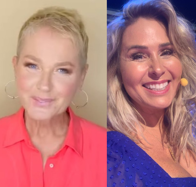 Andrea Sorvetão critica Xuxa Meneghel após comentários sobre paquitas: <I>Ela nunca se esforçou</i>