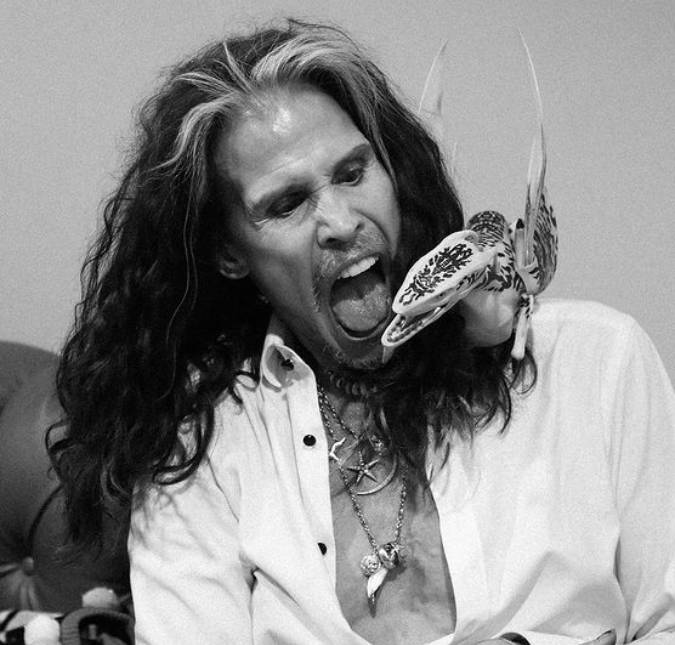Steven Tyler, astro do Aerosmith, tem recaída e volta à clínica de reabilitação cancelando <I>shows</i>
