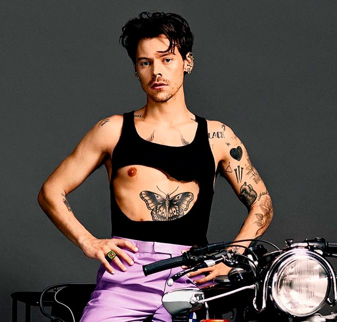 Fã cai da arquibancada durante <i>show</i> de Harry Styles