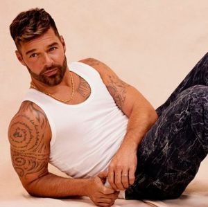Ricky Martin nega as alegações de abuso doméstico: <i>Completamente falso e fabricado</i>
