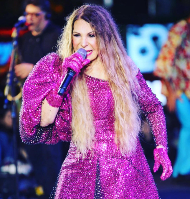 Elba Ramalho se envolve em acidente com idoso no Rio de Janeiro