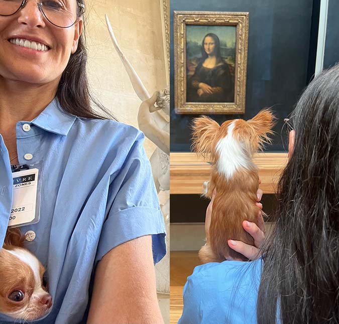 Demi Moore recebe críticas por levar cachorro ao Museu do Louvre