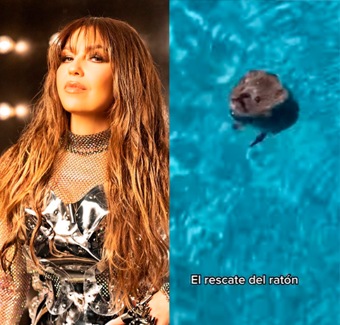 Cantora mexicana Thalía conversa com ratinho e o salva de afogamento: <I>Está bem, precioso?</i>