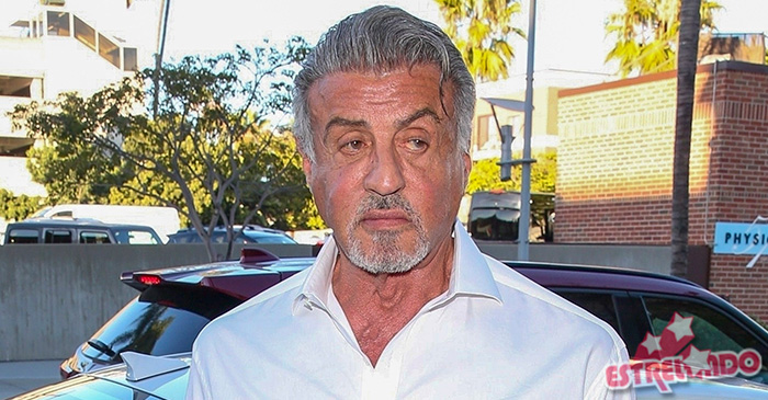 Sylvester Stallone reclama de spin-off de Creed: Nunca quis que os personagens fossem explorados por parasitas