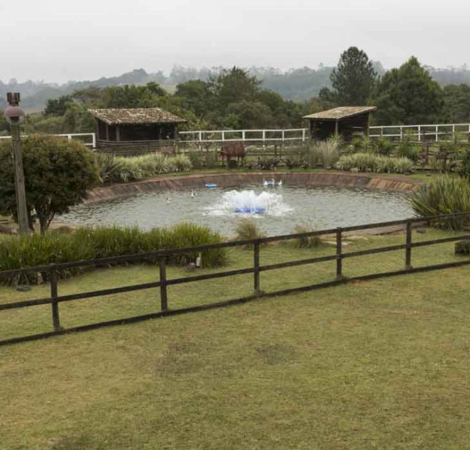 Na A fazenda sabemos que não tem moleza e os peões tem que colocar a mão na massa e trabalhar bastante. Tem porco, galinha, cavalo e muitas tarefas esperando essa galera, que promete botar fogo em tudo.