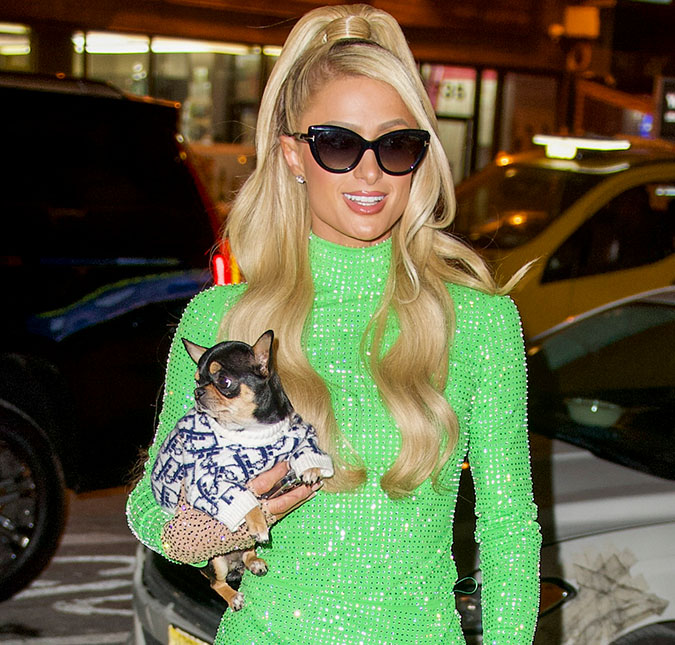 Paris Hilton se emociona com desaparecimento do seu cão: <i>Sinto que uma parte de mim está faltando</i>