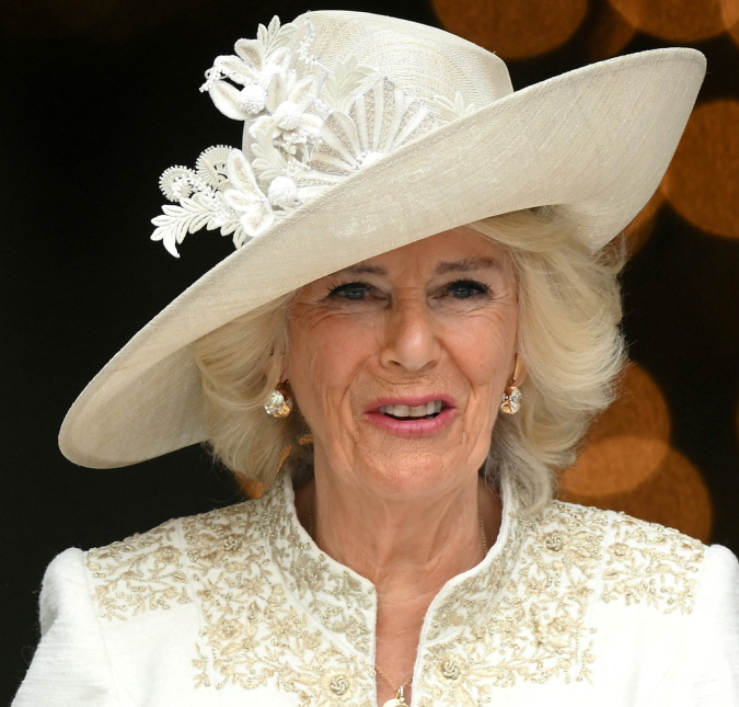 Rainha Camilla atualiza sobre estado de saúde de Rei Charles III após diagnóstico de aumento da próstata: -<i>Ansioso para voltar ao trabalho</i>