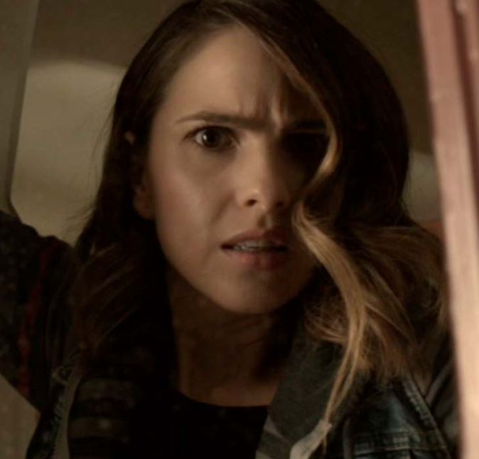 Shelley Hennig conquistou o coração dos fãs com a sua atrapalhada Malia Tate, e não parou de trabalhar desde então! A atriz apareceu no filme Quando Nos Conhecemos, The After Party e integrou o elenco de A Vizinha da Mulher na Janela Shelley Hennig conquistou o coração dos fãs com a sua atrapalhada Malia Tate, e não parou de trabalhar desde então! A atriz apareceu no filme Quando Nos Conhecemos, The After Party e integrou o elenco de A Vizinha da Mulher na Janela