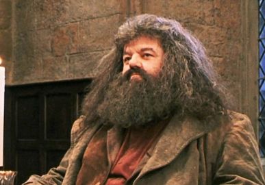Elenco de <i>Harry Potter</i> lamenta morte do ator Robbie Coltrane aos 72 anos de idade