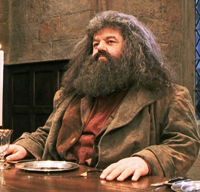 Elenco de <i>Harry Potter</i> lamenta morte do ator Robbie Coltrane aos 72 anos de idade