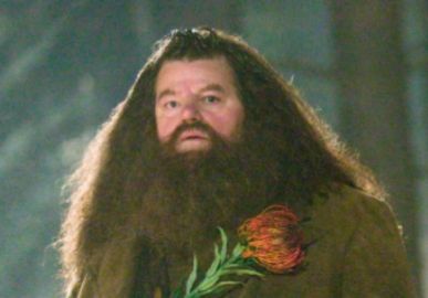 Hagrid em <i>Harry Potter</i>, Robbie Coltrane, morre aos 72 anos de idade